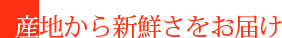 産地から新鮮さをお届け